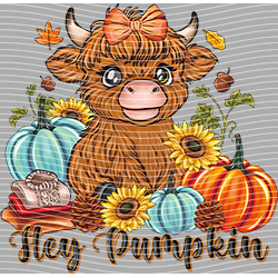 Cow-NIU 2543
